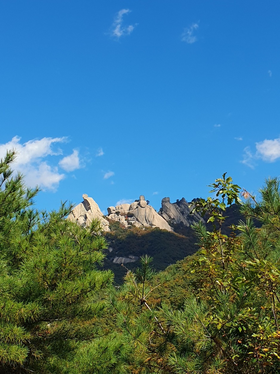 지리산 바래봉을 분홍빛으로 덮은 철쭉